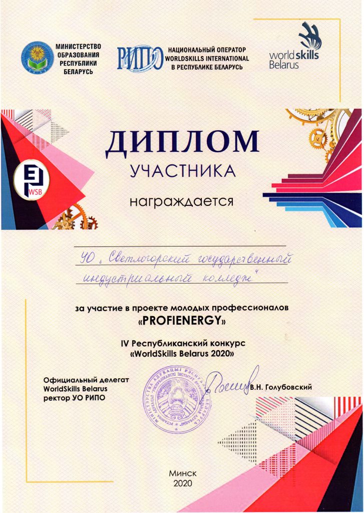 WS Belarus 2020 PROFIENERGY Диплом участника Колледж